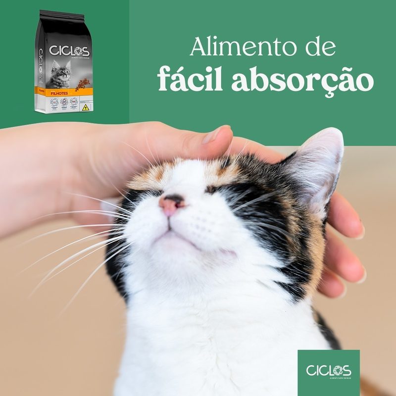 Ciclos: easy absorption