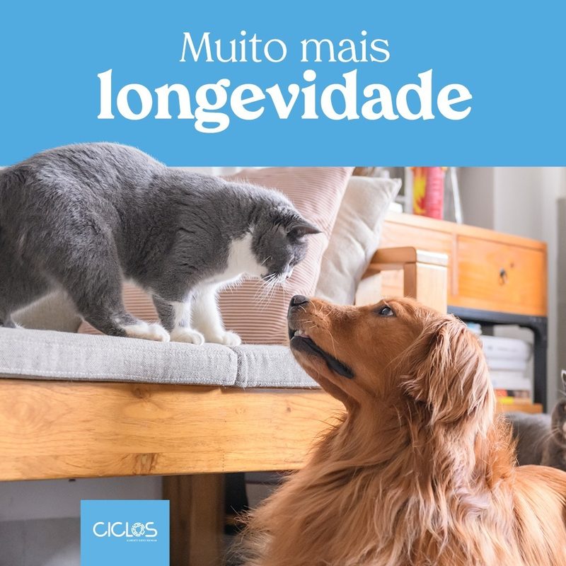 Ciclos: longevity